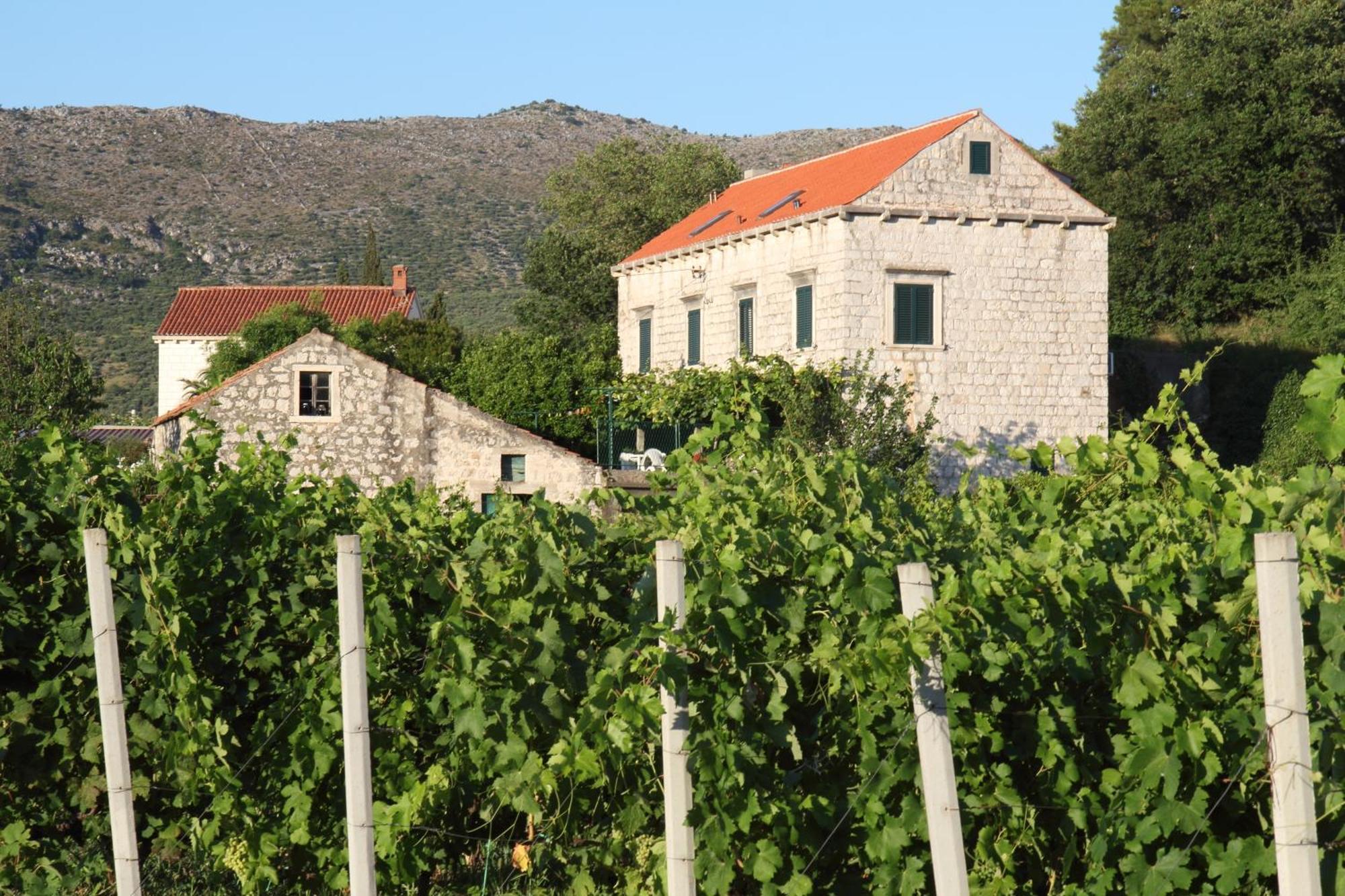Villa Violic Zaton  Exteriér fotografie