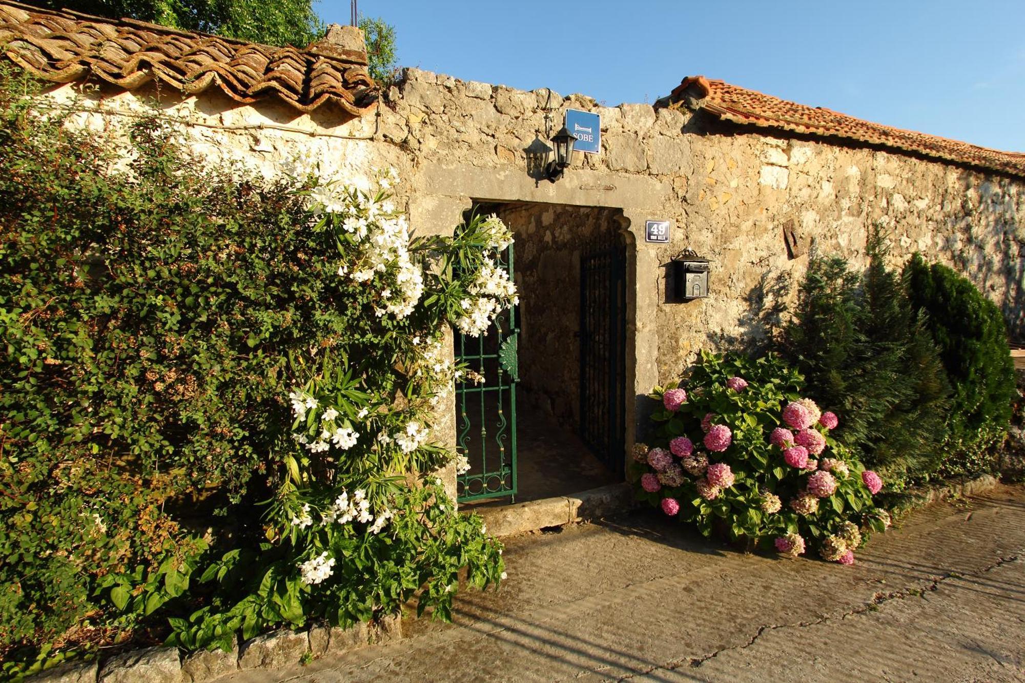 Villa Violic Zaton  Exteriér fotografie