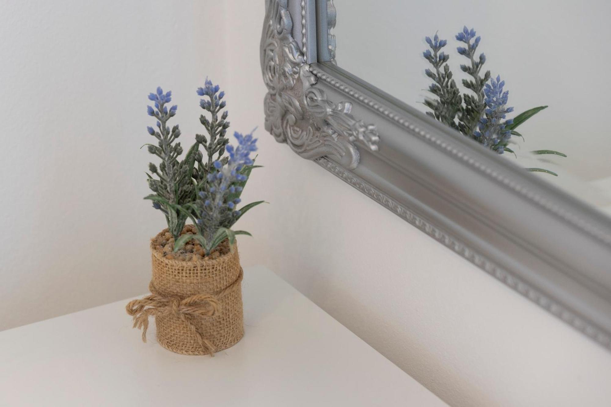 Villa Violic Zaton  Exteriér fotografie
