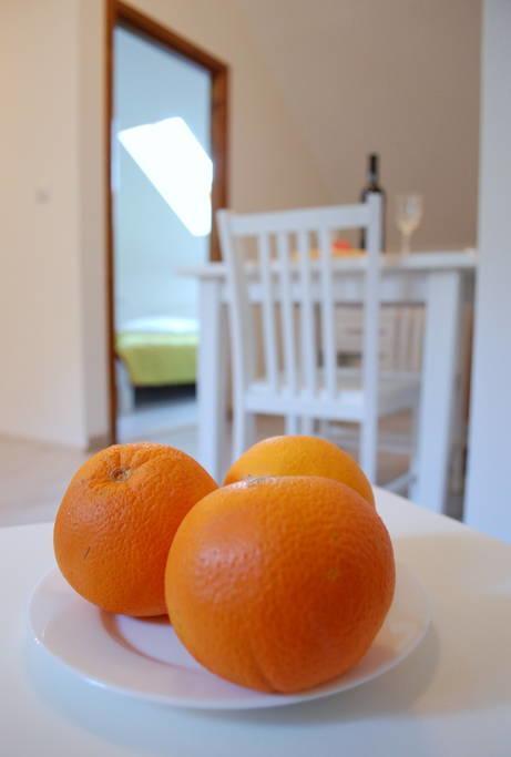 Villa Violic Zaton  Exteriér fotografie