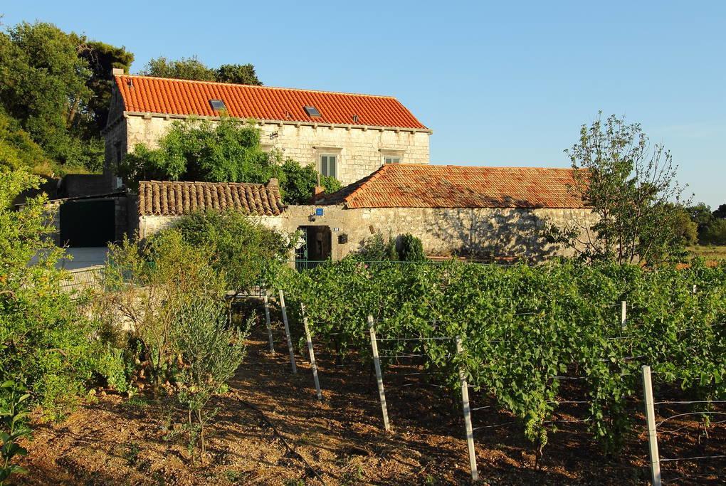 Villa Violic Zaton  Exteriér fotografie
